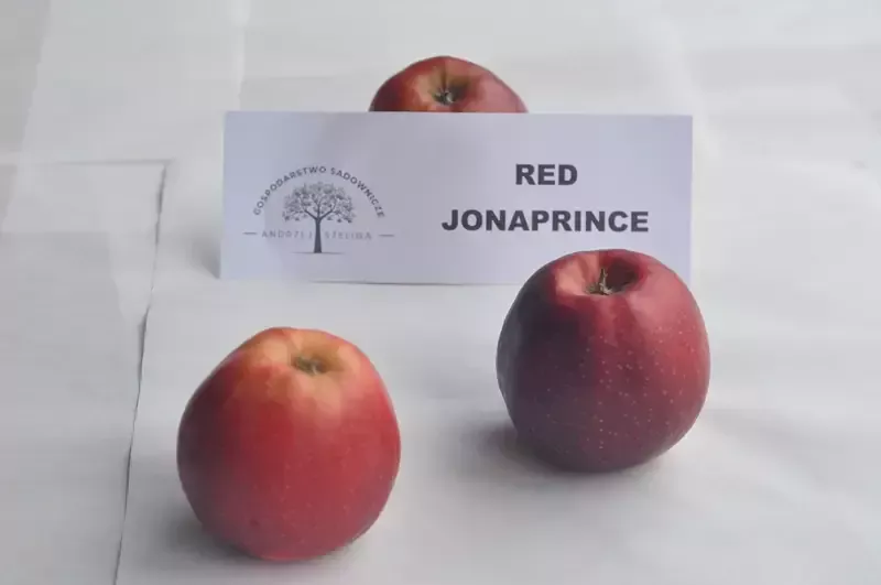 jabłka Red Jonaprince 2